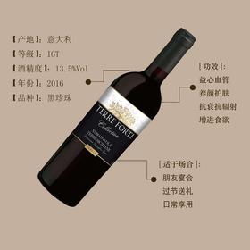 意大利 泰福迪 西西里 黑标干红葡萄酒750ml 单瓶装--jmw