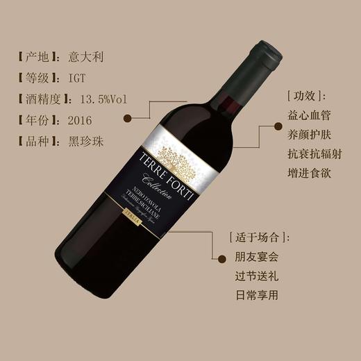 意大利 泰福迪 西西里 黑标干红葡萄酒750ml 单瓶装--jmw 商品图0