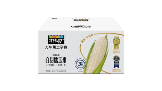 【北纬47°黄糯玉米】盼盼严选万年黑土地北纬47°黄糯玉米 商品图1