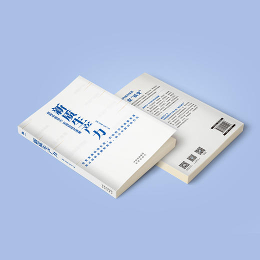 《新质生产力》 商品图13