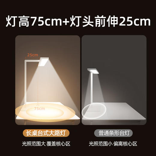 孩视宝长桌立式大路灯R01-70w 商品图2
