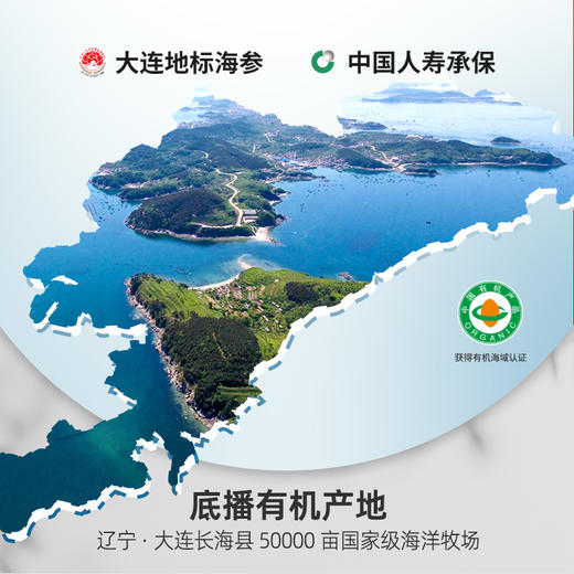 【干海参礼盒】净干海参 商品图1