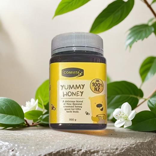 康维他儿童蜂蜜 500g/瓶 商品图0