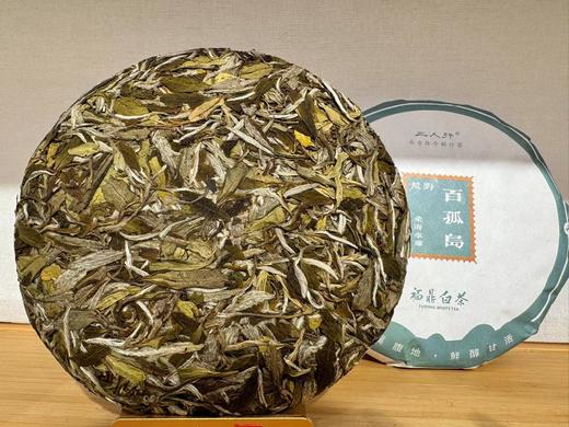 荒野 2023年 桑海水库·百孤岛 白牡丹 300克 商品图5