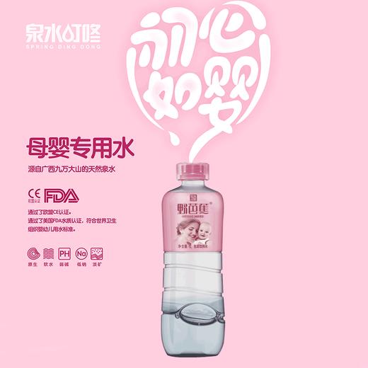 泉水叮咚 野芭蕉 母婴专用水 500ml*24 适合0-3岁婴幼儿饮用的天然泉水 孕妇饮用 哺乳期饮用 宝宝饮用 冲泡奶粉 制作辅食 72小时发货 商品图0