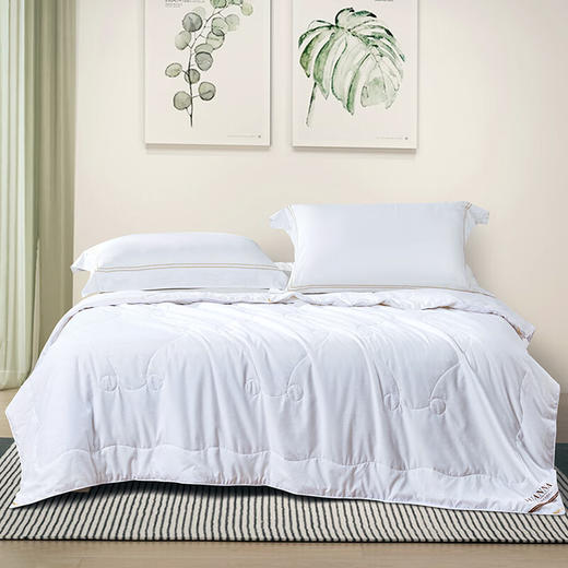 富安娜  雅悦蚕丝夏被 商品图0