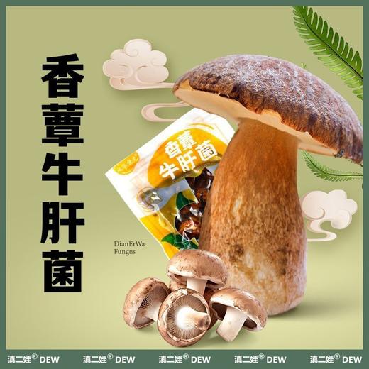 云南即食油鸡枞菌香蕈牛肝菌松茸菌香菇菌子零食下饭菜 商品图7