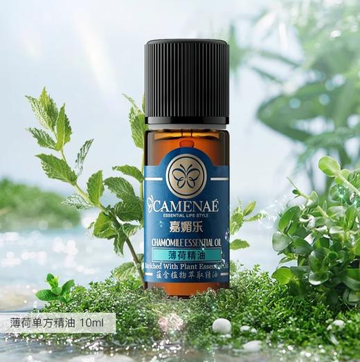 【双12大促】嘉媚乐薄荷精油  净化面部  香薰清洁皮肤 单方精油 商品图1