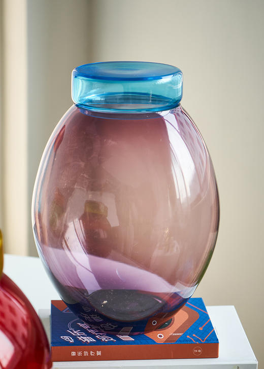 北欧风糖果色玻璃储物罐简约彩色大肚子花瓶居家台面玄关餐台摆件 商品图9