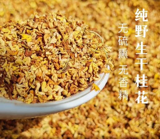 广西生态农场纯野生干桂花/无硫熏无香精/58克 商品图0