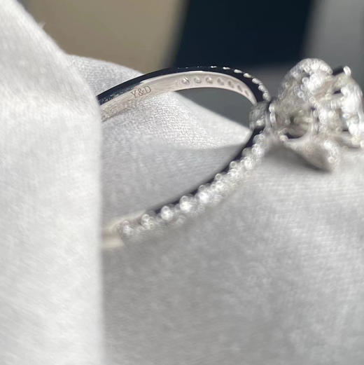 刻印 | 特殊字体选择 商品图2