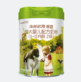 海普诺凯荷致翡翠较大婴儿配方奶粉（6-12月龄，2段）818g