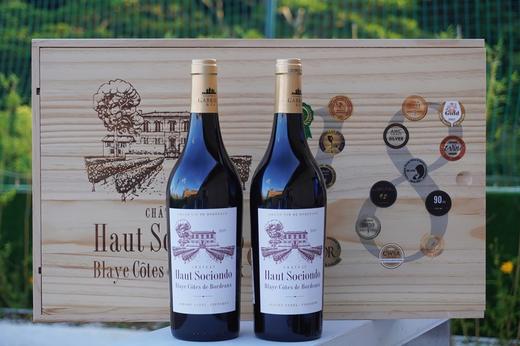 法国奥松城堡红葡萄酒 750ml 单瓶装--jmw 商品图1