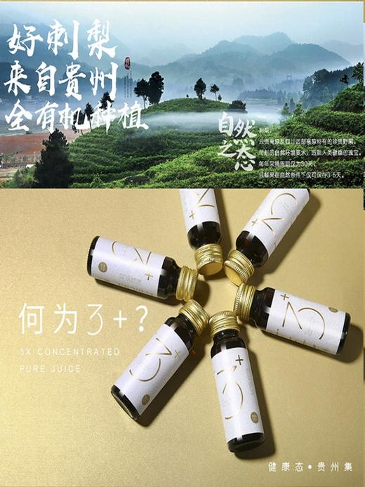【贵州毕节特产】态集3+双有机刺梨汁原液贵州刺梨原汁原浆高VC SOD特产50ml*12支 商品图1