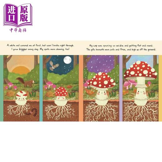 预售 【中商原版】自然的微小故事 小蘑菇 Mini story Little Mushroom 英文原版 儿童纸板书 亲子绘本 图画故事书 进口童书 3-6岁 商品图1