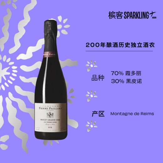 Pierre Paillard Les Terres Roses Bouzy Grand Cru 皮耶·帕亚酒庄布兹红土地桃红香槟 商品图3