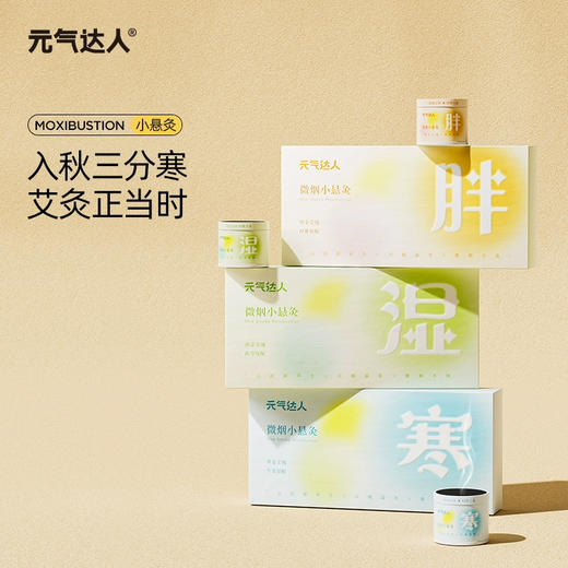 元气达人胖湿寒古法养生微烟小悬灸 商品图0