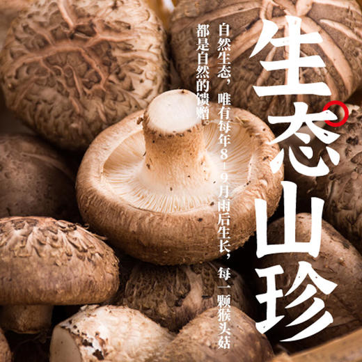【北大荒】香菇 100g/袋 商品图1