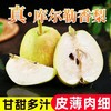 严选 | 新疆库尔勒香梨 4.5斤/箱 甘甜多汁 皮薄肉细 产地直发 商品缩略图1