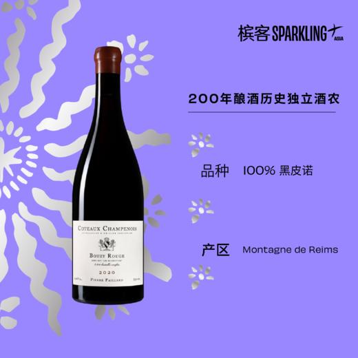 Pierre Paillard Coteaux Champenois Bouzy Rouge Les Mignottes 2020 皮耶·帕亚酒庄香槟山丘米诺园 红葡萄酒 2020 商品图1