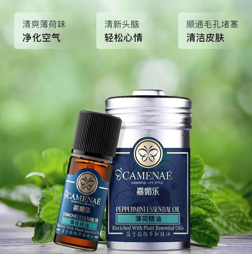 【双12大促】嘉媚乐薄荷精油  净化面部  香薰清洁皮肤 单方精油 商品图2