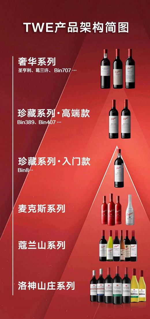 Penfolds奔富585红葡萄酒750ml单瓶装--jmw 商品图2