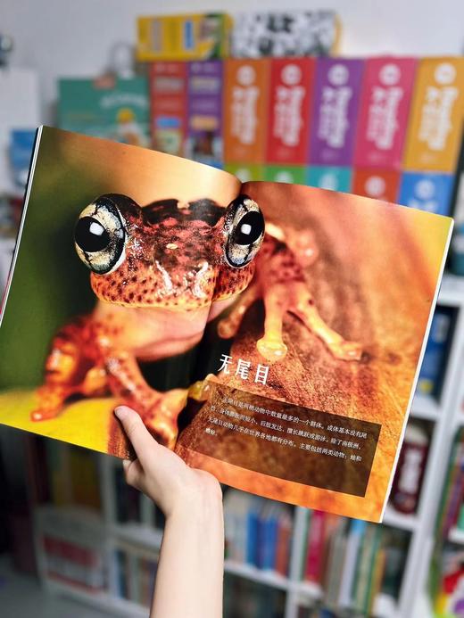 2.8折包邮！！！《guo家地理动物百科全书》（全20册） 西班牙原版引进，世界动物学家献给青少年的科普巨著 ， 商品图7