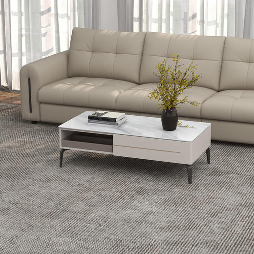 顾家家居整装 现代简约 餐桌茶几 PT2120 商品图2