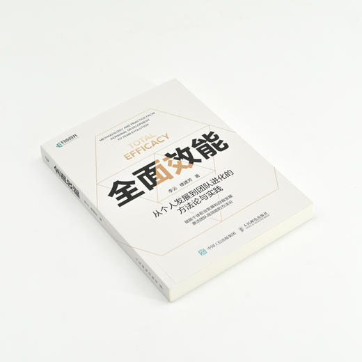 *效能 从个人发展到团队进化的方法论与实践 职业发展自我提升高质有效工作与生活养育 职场经验个人提升 商品图4