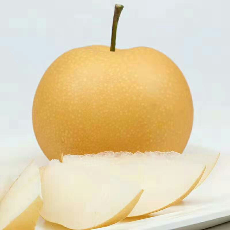 莱阳秋月梨家庭装