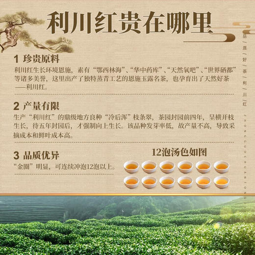 夷水红眉·天杉160g 商品图5