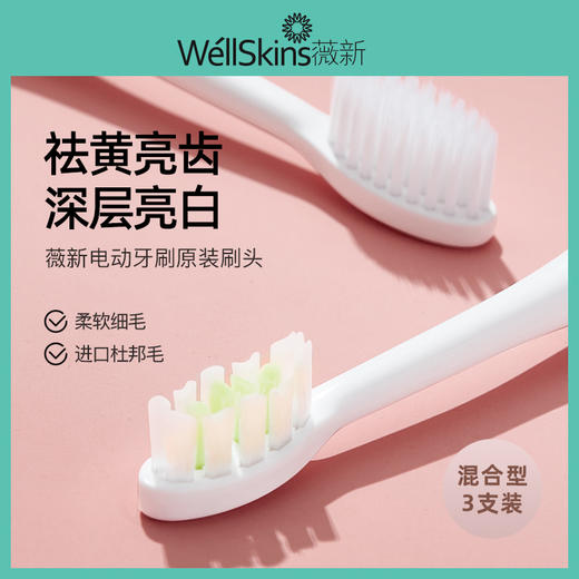 电动牙刷刷头3个标准版  WX-ST11 商品图0