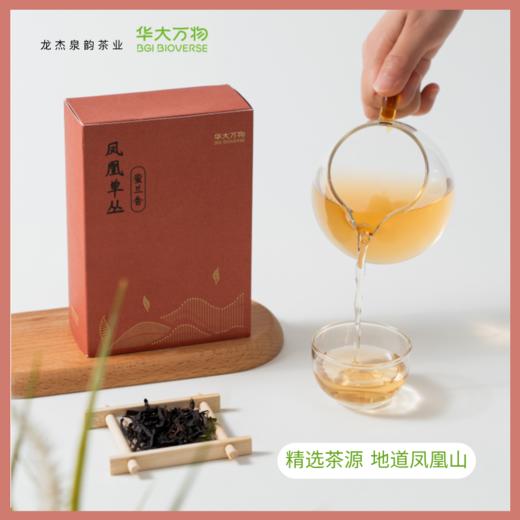 华大万物 凤凰单丛蜜兰香 2024新茶 乌龙茶 兰花香  汤水柔甜顺喉 入口清甜回香 商品图3