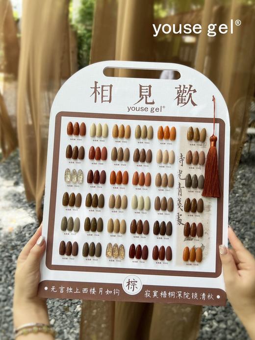 36色相見歡棕色焦糖色合集 商品图1