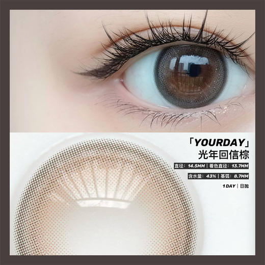 Darrens 光年回信棕 日抛（10片） 商品图1