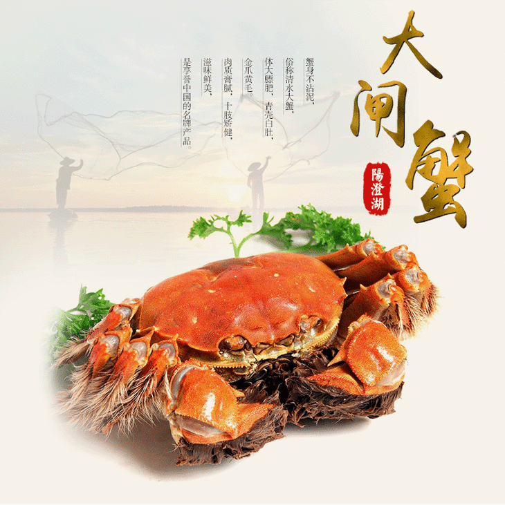 蟹澄鲜大闸蟹礼盒