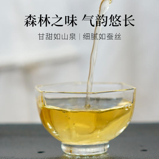 2023 薄荷塘乔木 森之味 拍3发4  8g小饼茶 16饼/盒 普洱茶 生茶 商品图2