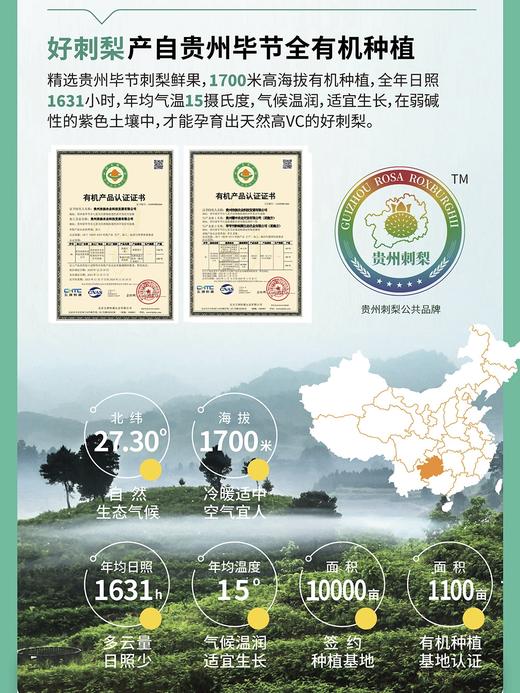 【贵州毕节特产】态集3+双有机刺梨汁原液贵州刺梨原汁原浆高VC SOD特产50ml*12支 商品图4