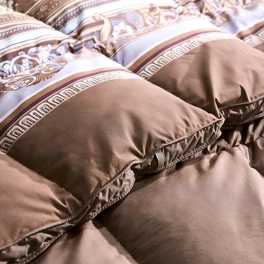 【春上新】[送2000元线下无门槛券】10楼富安娜 A类捷克鹅绒被/摩拉维娅/咖啡  吊牌价12800-23800元   活动价4999-6999元 商品图1