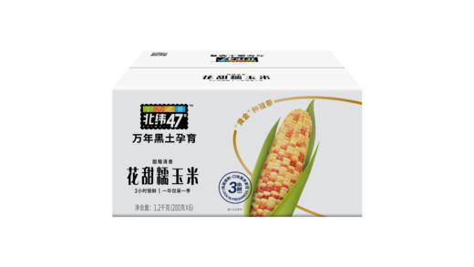 【北纬47°黄糯玉米】盼盼严选万年黑土地北纬47°黄糯玉米 商品图2