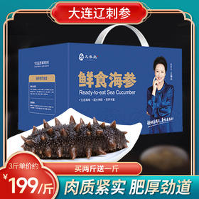 【无冰鲜食辽参】久参岛 8-10头大连辽刺参 刺参冷冻鲜食独立包装 500g/袋