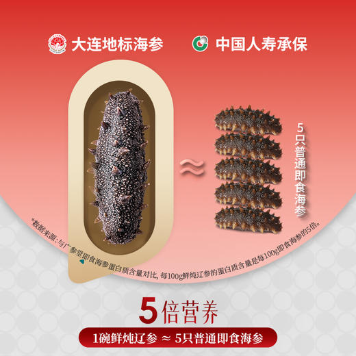 【即食海参】鲜炖海参 好鲜·好味·好营养 商品图3
