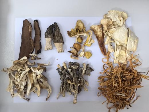 滋仙草灵芝菌汤包 商品图3