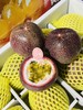 【超多汁】苮食椰青百香果 一件12个礼盒装 口感 酸甜  风味浓郁，有蜜桃凤梨椰青的香味 商品缩略图3