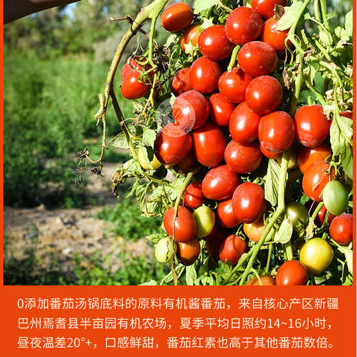 番茄汤锅底料（新疆有机番茄加工）150g/袋*4袋 商品图6