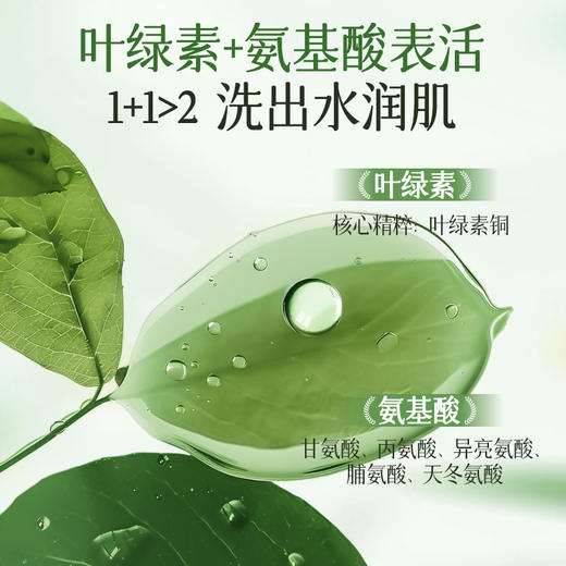 【梵西新品 119元任选3件】梵西叶绿素氨基酸细嫩洁面乳洁颜绿泥洗面奶收缩控油深层清洁毛孔 100g/支 商品图2