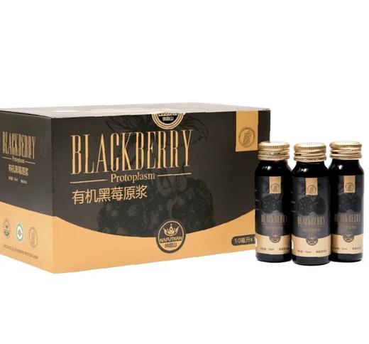 【1/3/6箱】有机丨黑莓原浆 60瓶/箱  FX-1118 商品图0