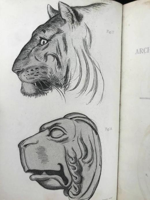 1891年 罗斯金建筑与艺术演讲集 15页插图 真皮精装32开 商品图2