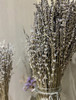 薰衣草  干花  若干枝/扎 商品缩略图3