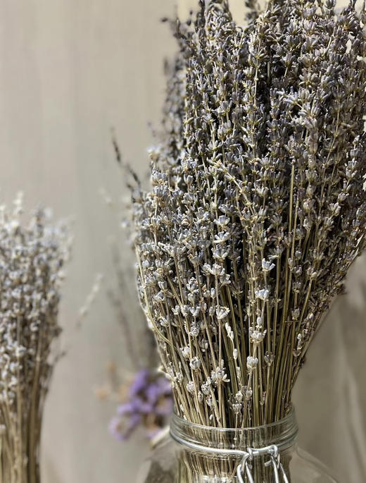 薰衣草  干花  若干枝/扎 商品图3